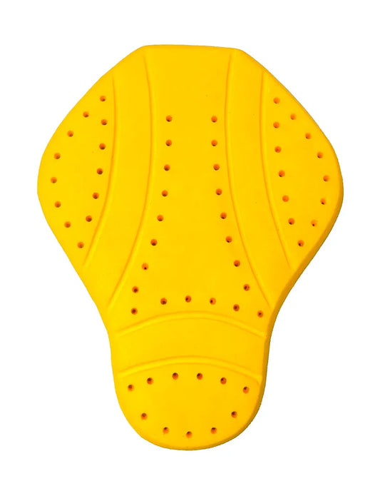 PROTECTOR - CE2 - BACK (350 Gm)